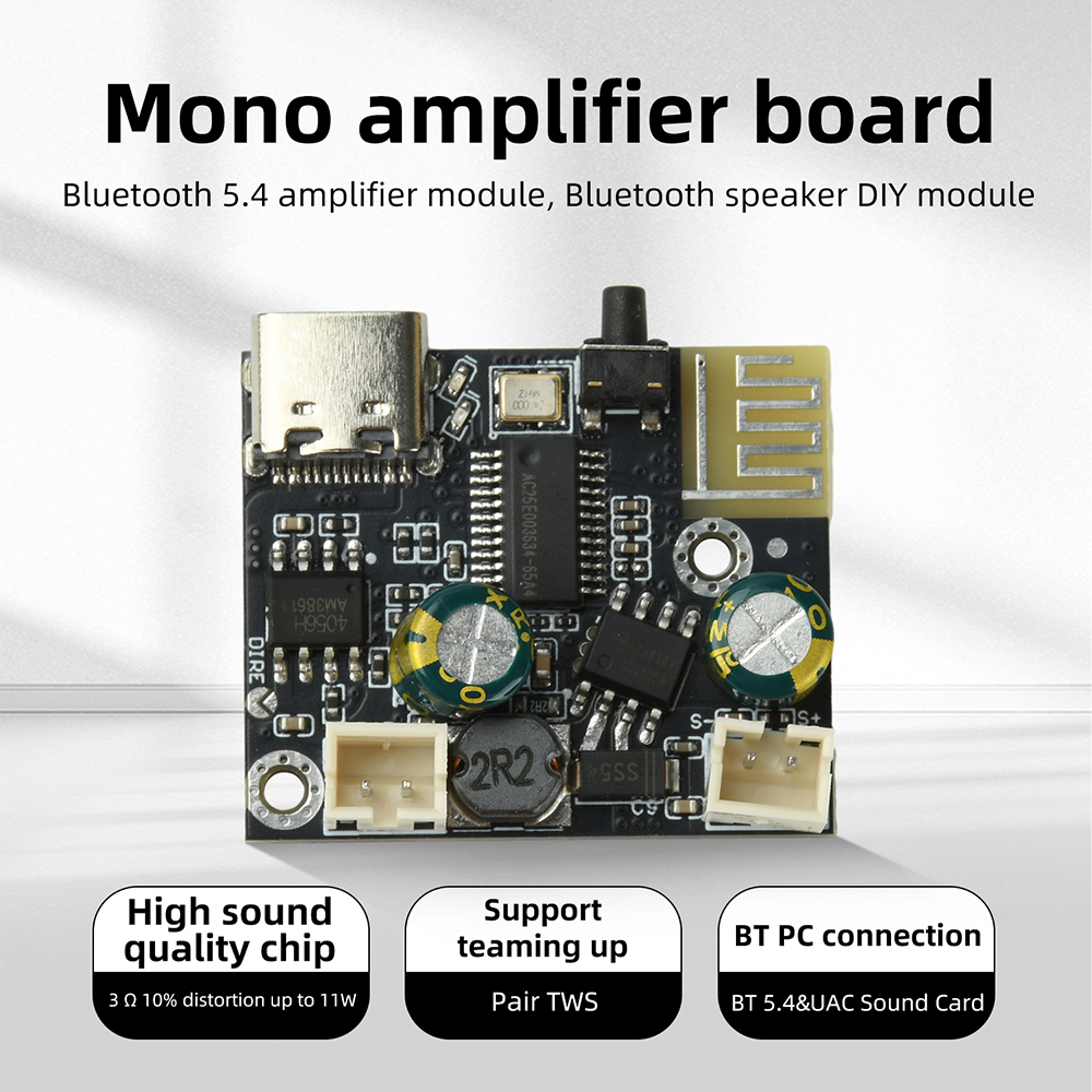 BPM13 Plus 6.2W Mono Class D A - Audio Music To Mp3 reseña y precio